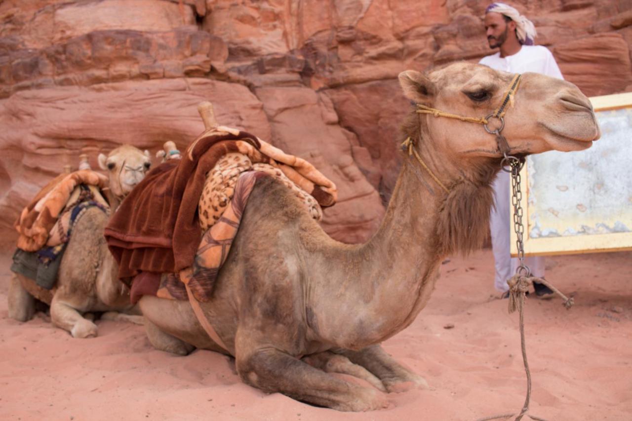 Wadi Rum Desert Home Bagian luar foto