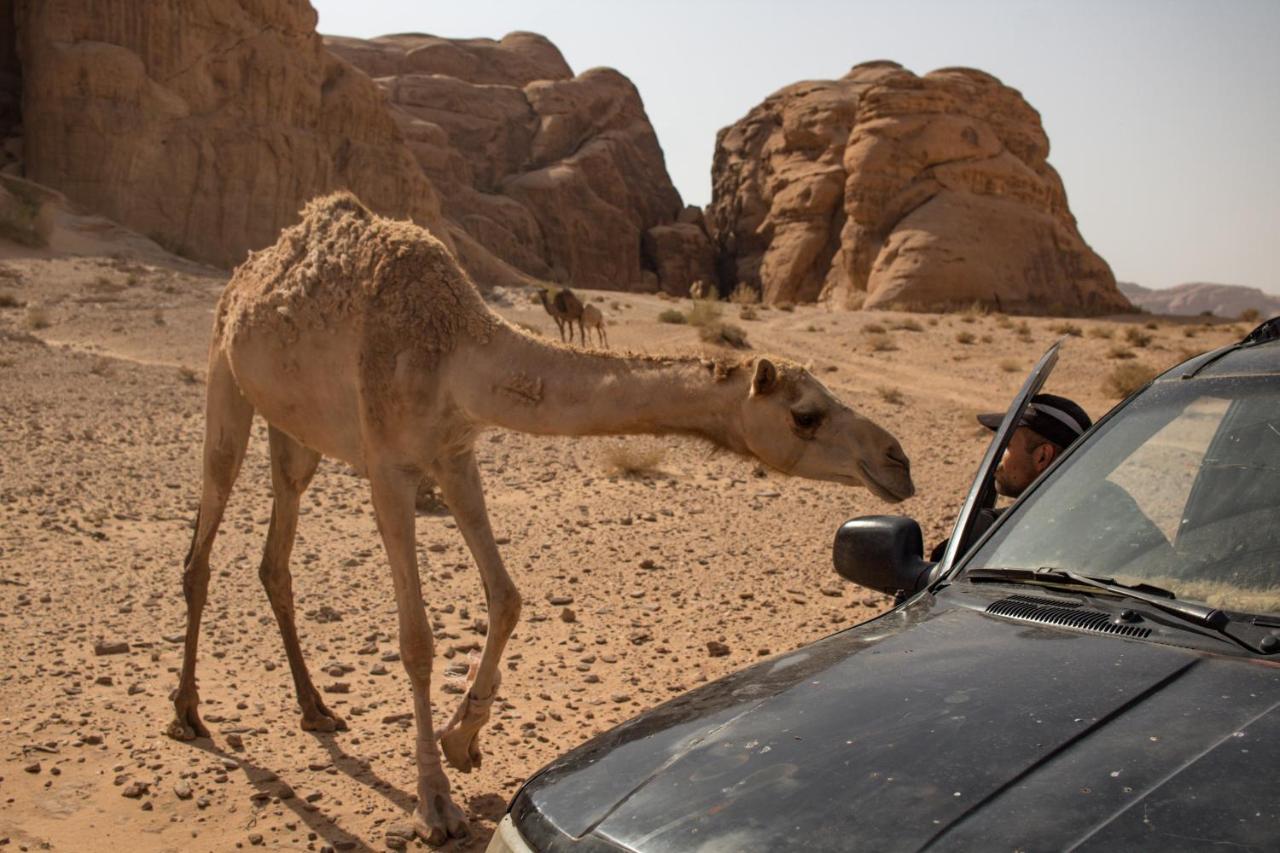 Wadi Rum Desert Home Bagian luar foto